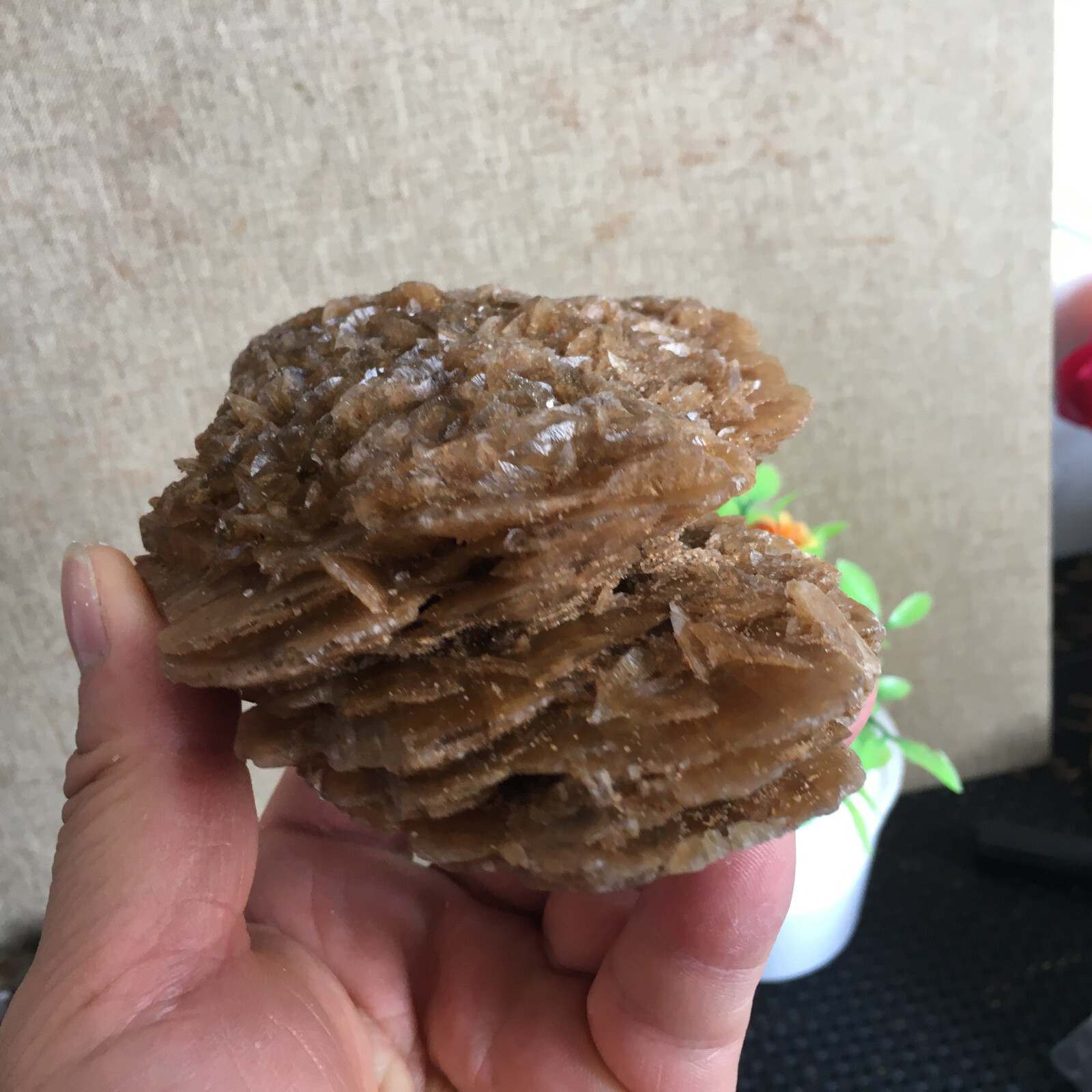 449g Natural Crystal Stone Desert Rose Specimen Decoration B1562