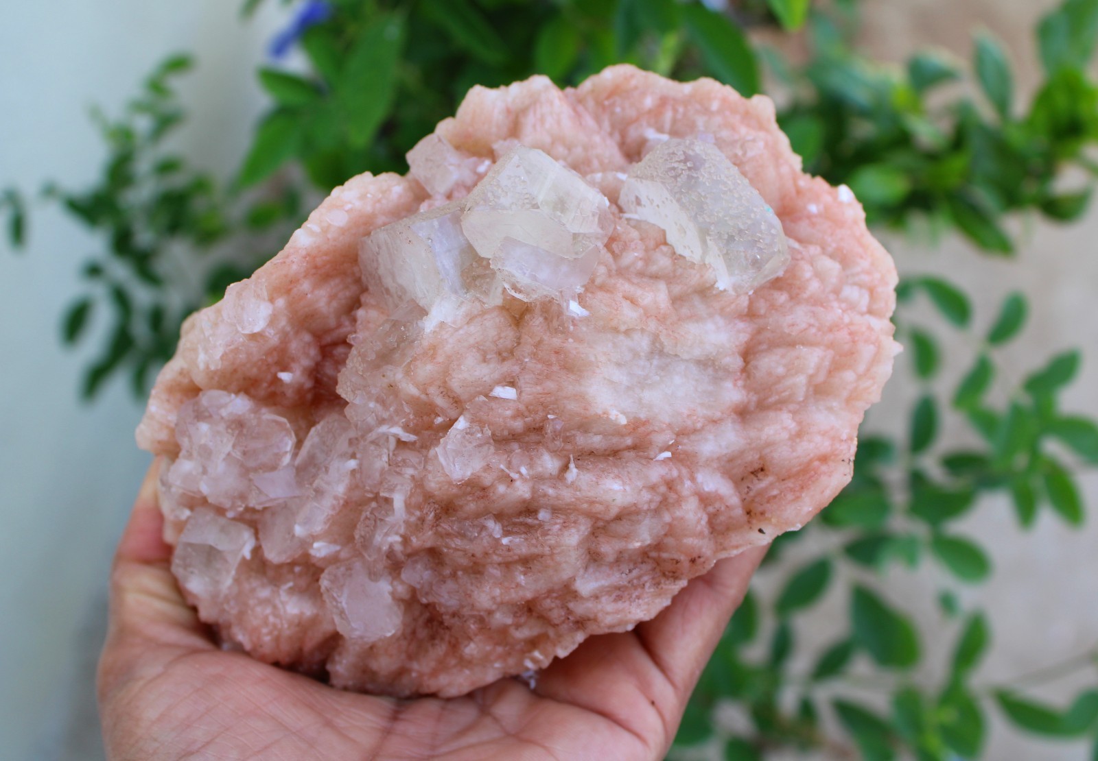 APOPHYLLITE CRYSTALS ON STILBITE NATURAL MINERALS SPECIMEN #A38