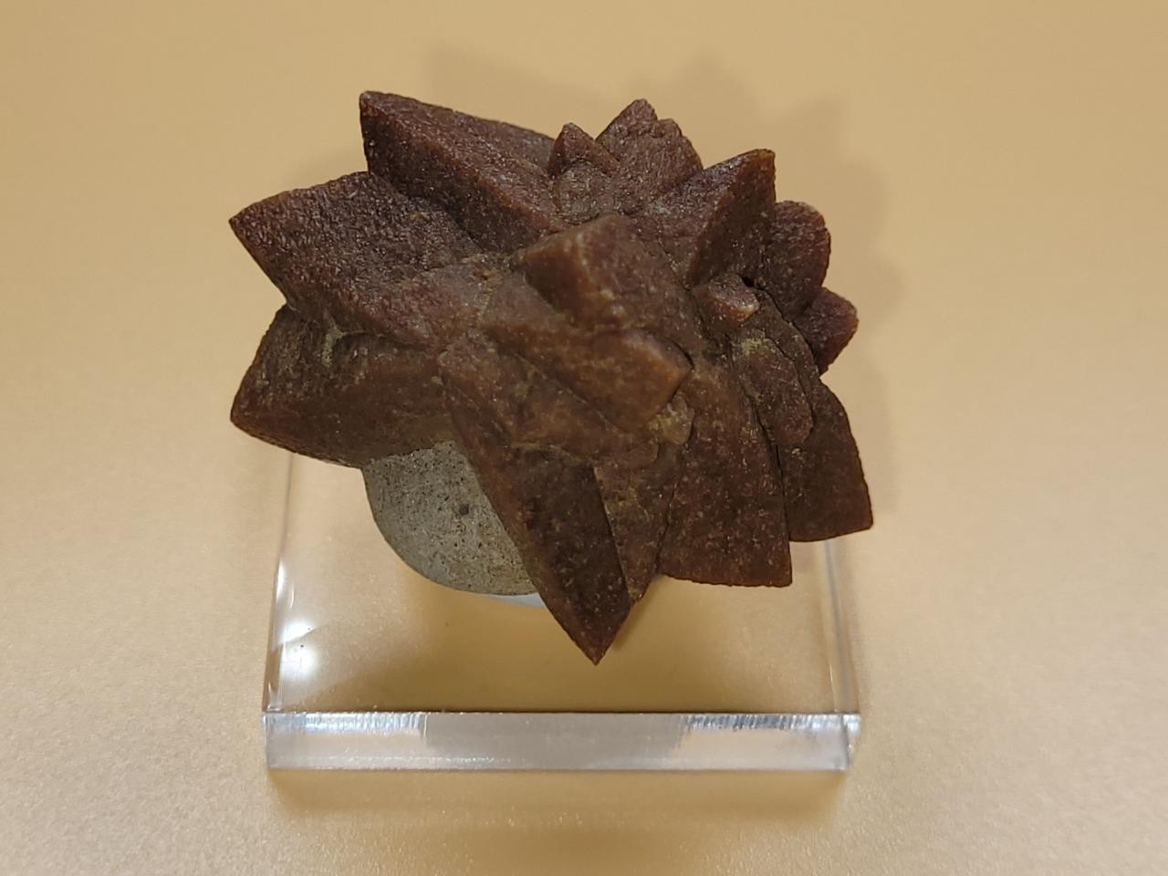 Excellent Calcite var. Glendonite psm after Ilkaite – Olenitsa, Murmansk, Russia