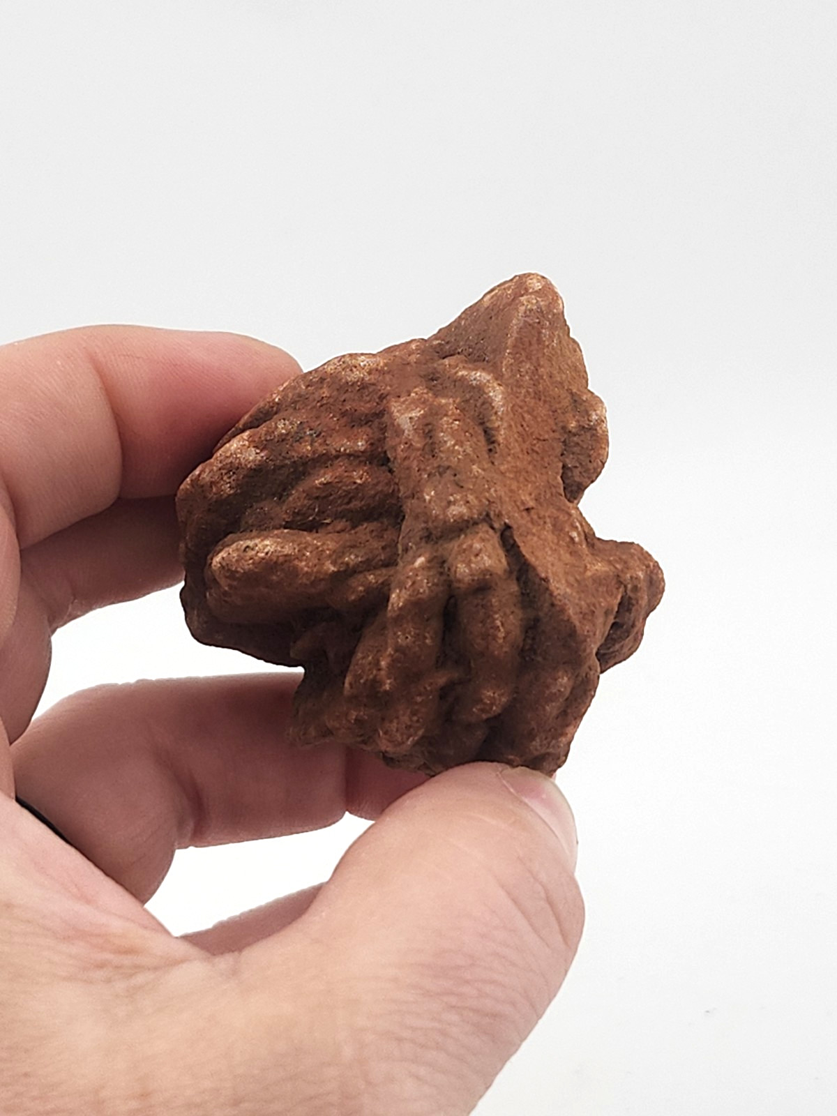 Oklahoma Rose Rock Cluster Barite Old Stock Highly Detailed 190 Grams