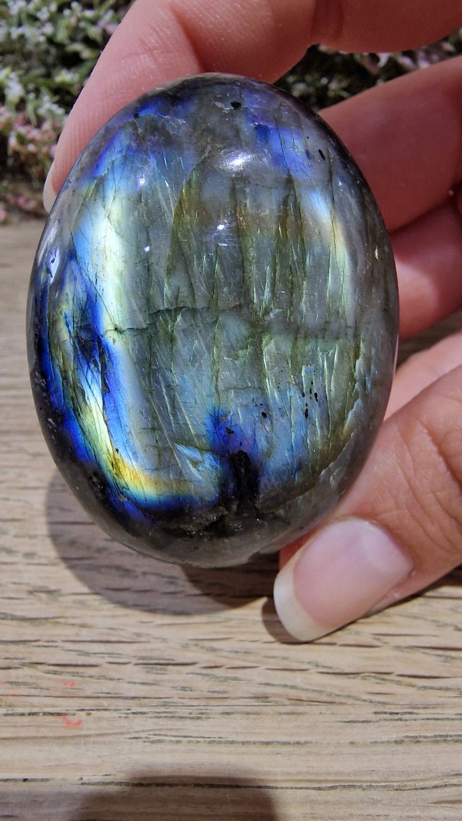 Labradorite Crystal Palmstone Multicoloured Flash 99g