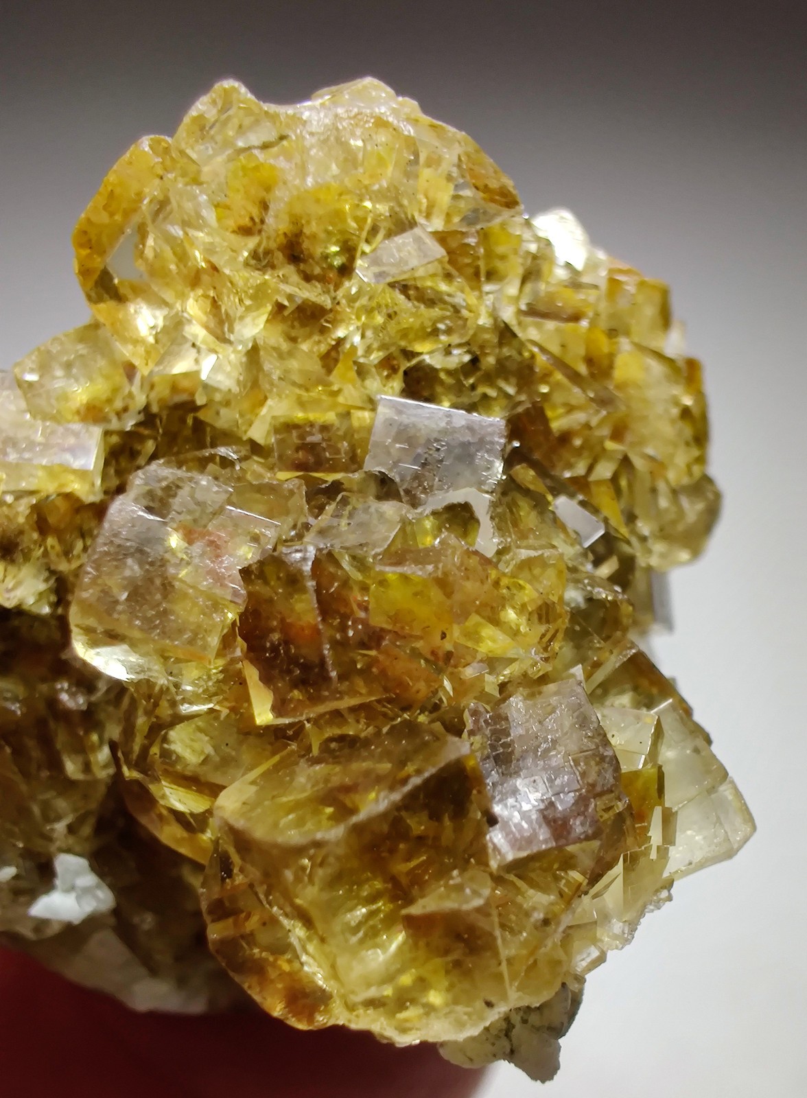 Transparent yellow Fluorite crystals, UV. Moscona Mine, Spain. 44 grams.