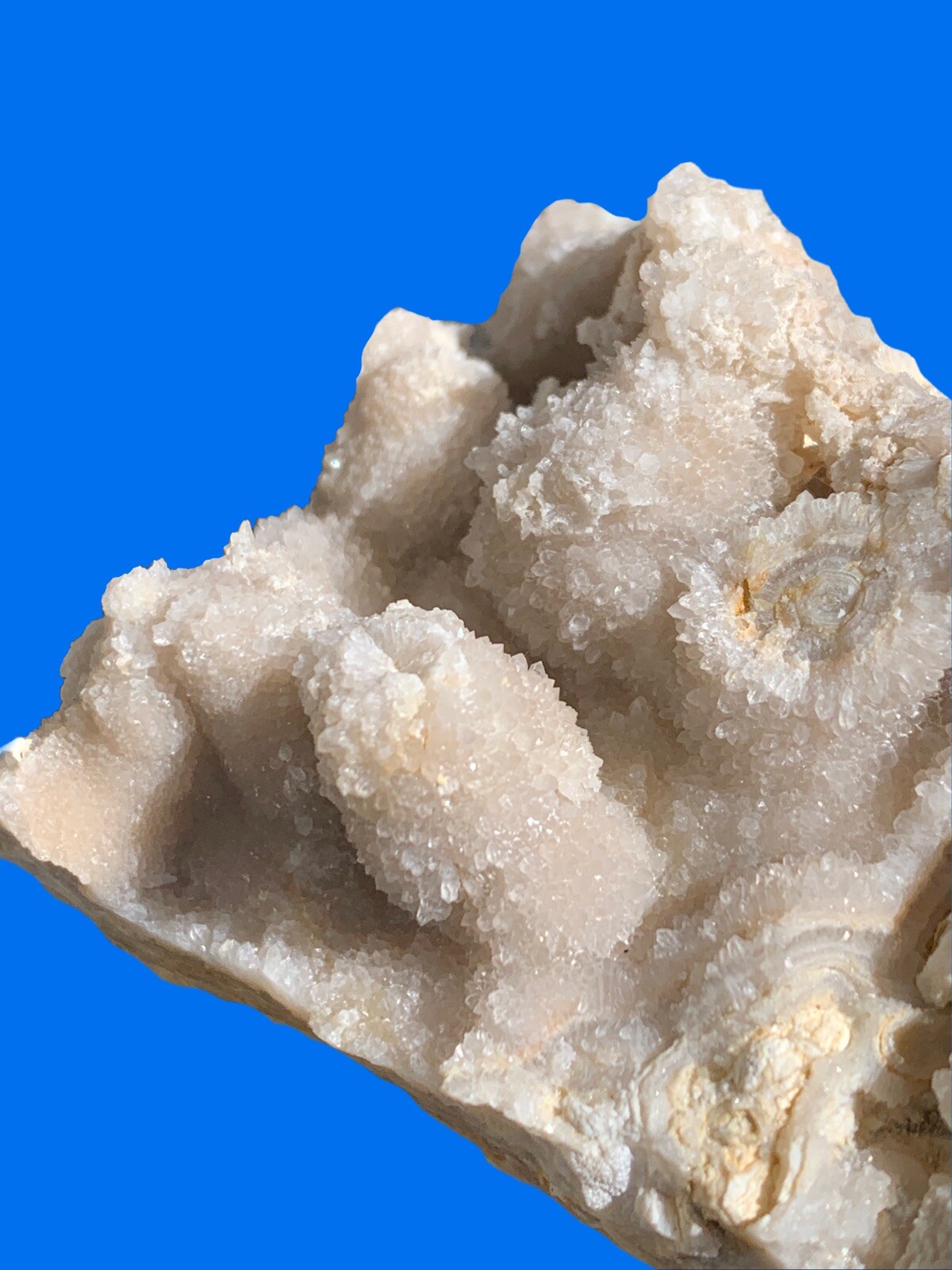 Lace Agate With Crystals. Rocks Crystals Minerals Gemstones