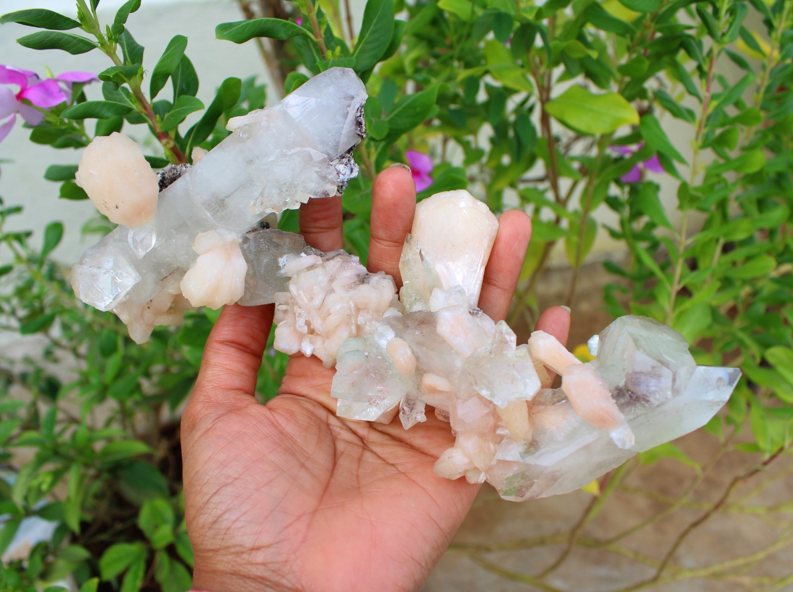 Apophyllite Crystals w/ Stilbite Formation Minerals Specimen ( 21×10 ) REPAIR