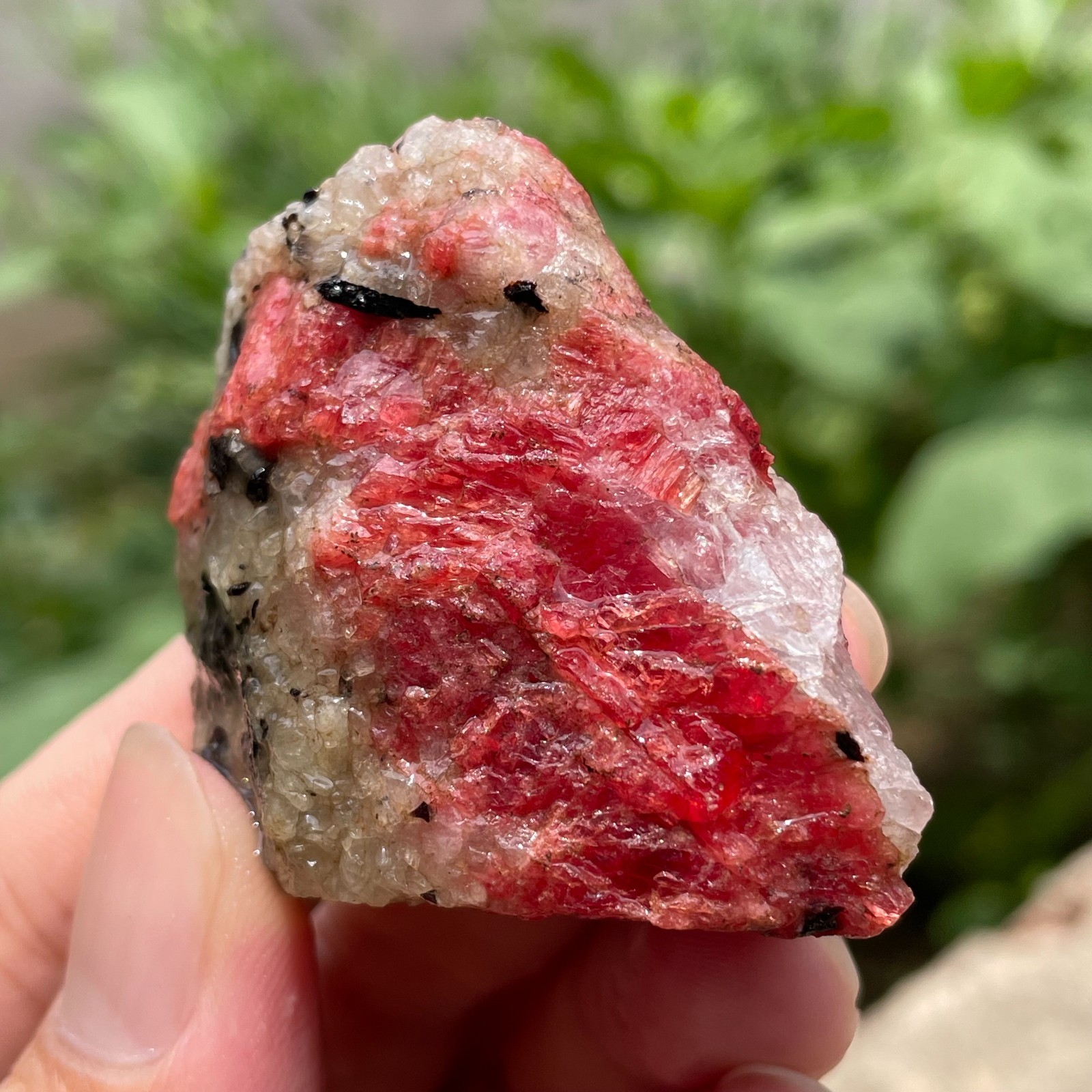 68g Small Raw Ore Red Black Rhodonite Quartz Gemstone Mineral Specimen