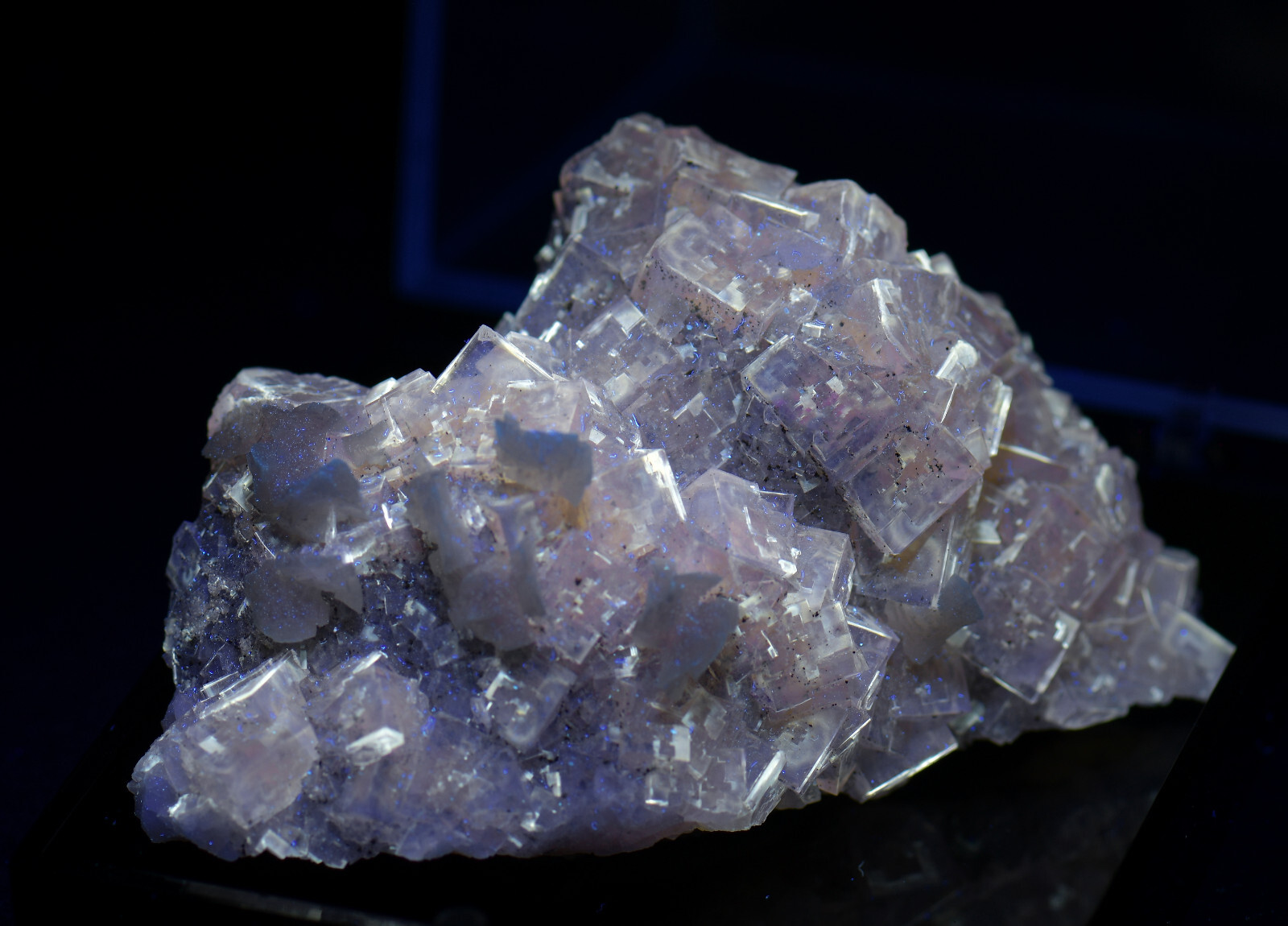 Fluorite crystals & Dolomite, Gorgeous! Moscona Mine, Spain. 7.5 cm.