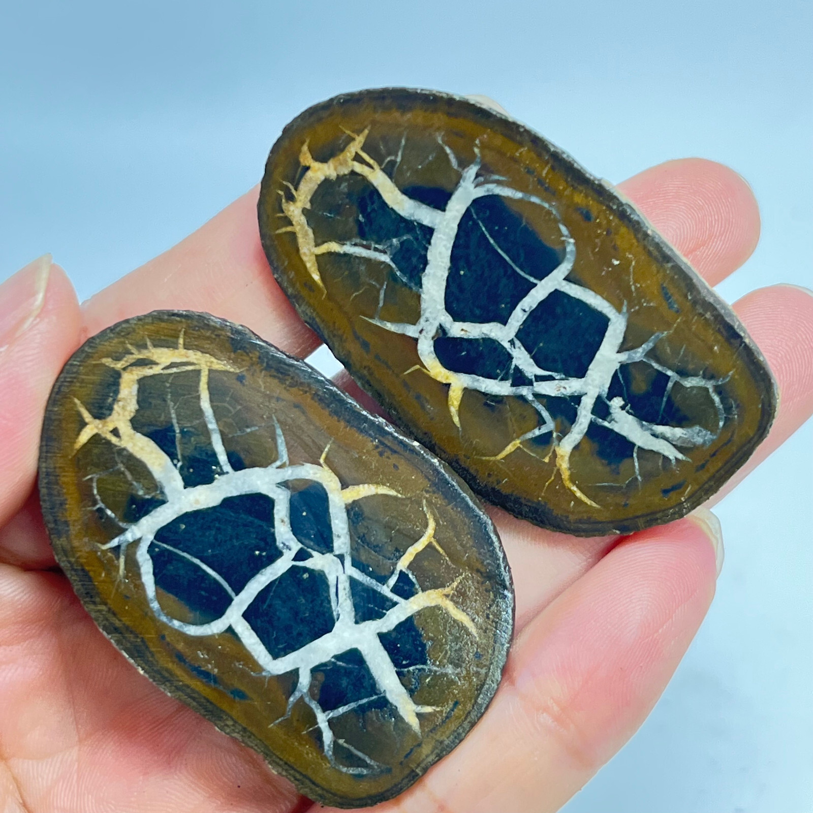 62G Natural Crystal Moroccan Turtle Back Stone Cutting Quartz Energy Spirit
