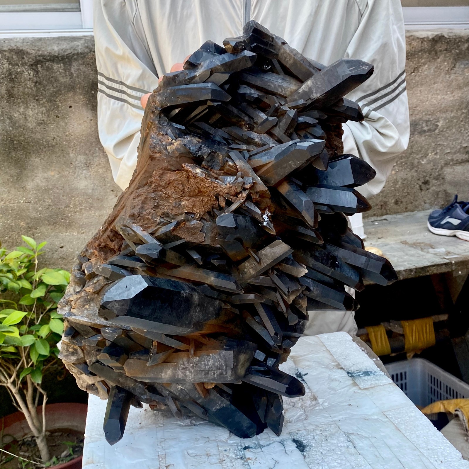 57LB Tea black Crystal quartz Cluster Mineral Specimen Healing reiki