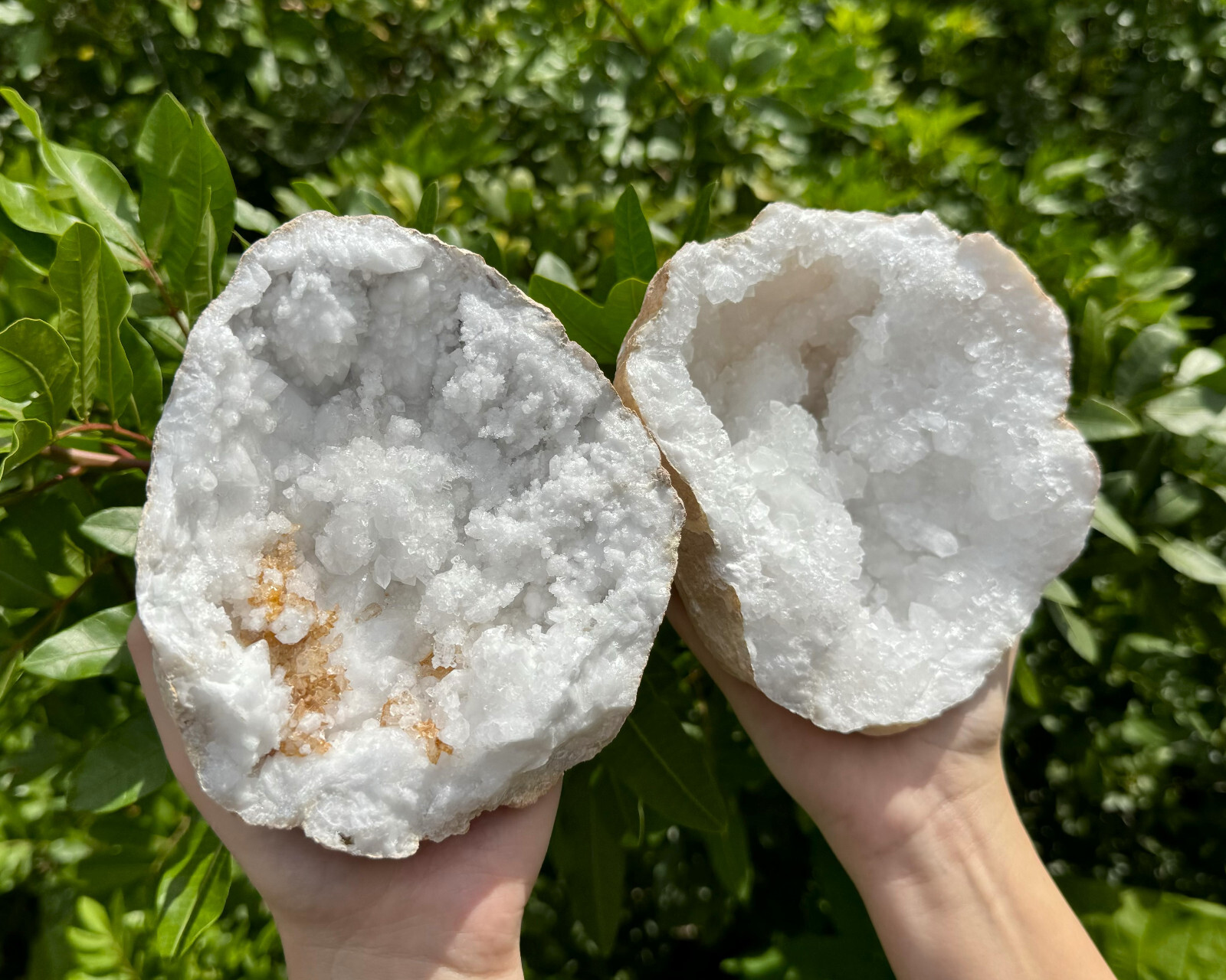 MASSIVE Sugar Quartz Geodes – Natural Crystal Geode Specimens From Morocco