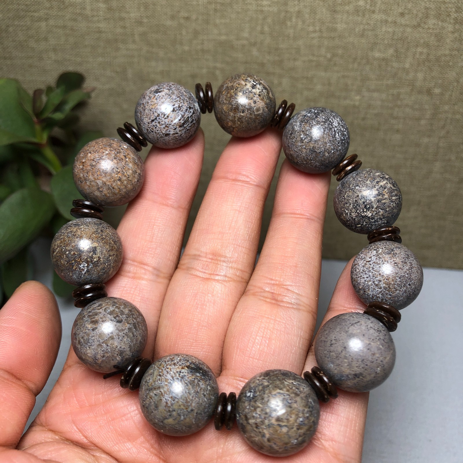 Top! Natural polished dinosaur bone bracelets specimen Madagascar 17-18mm A1003