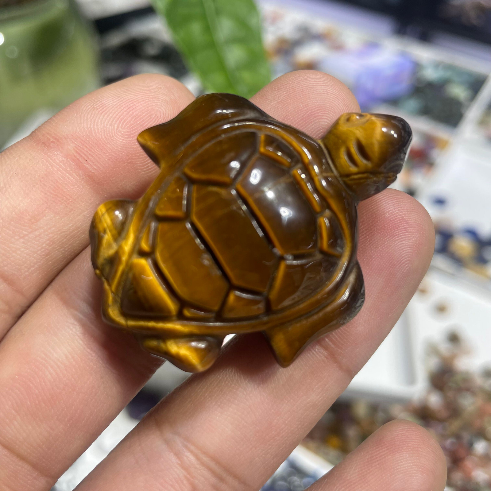 Natural Tiger eye tortoise Quartz Skull Crystal Specimen Reiki Healing Gift 1PC