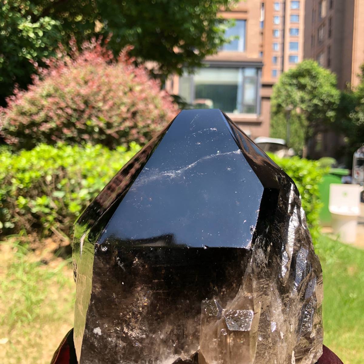 2410g Natural tea crystal specimen + pedestal MH1758