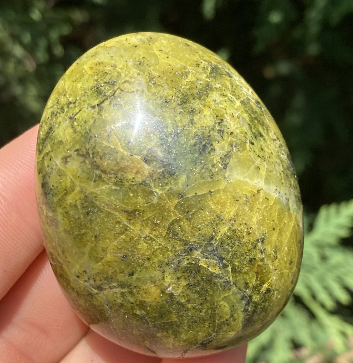 Handmade Polished GREEN OPAL Healing Crystal Palm Stone Pebble MADAGASCAR 2.28″