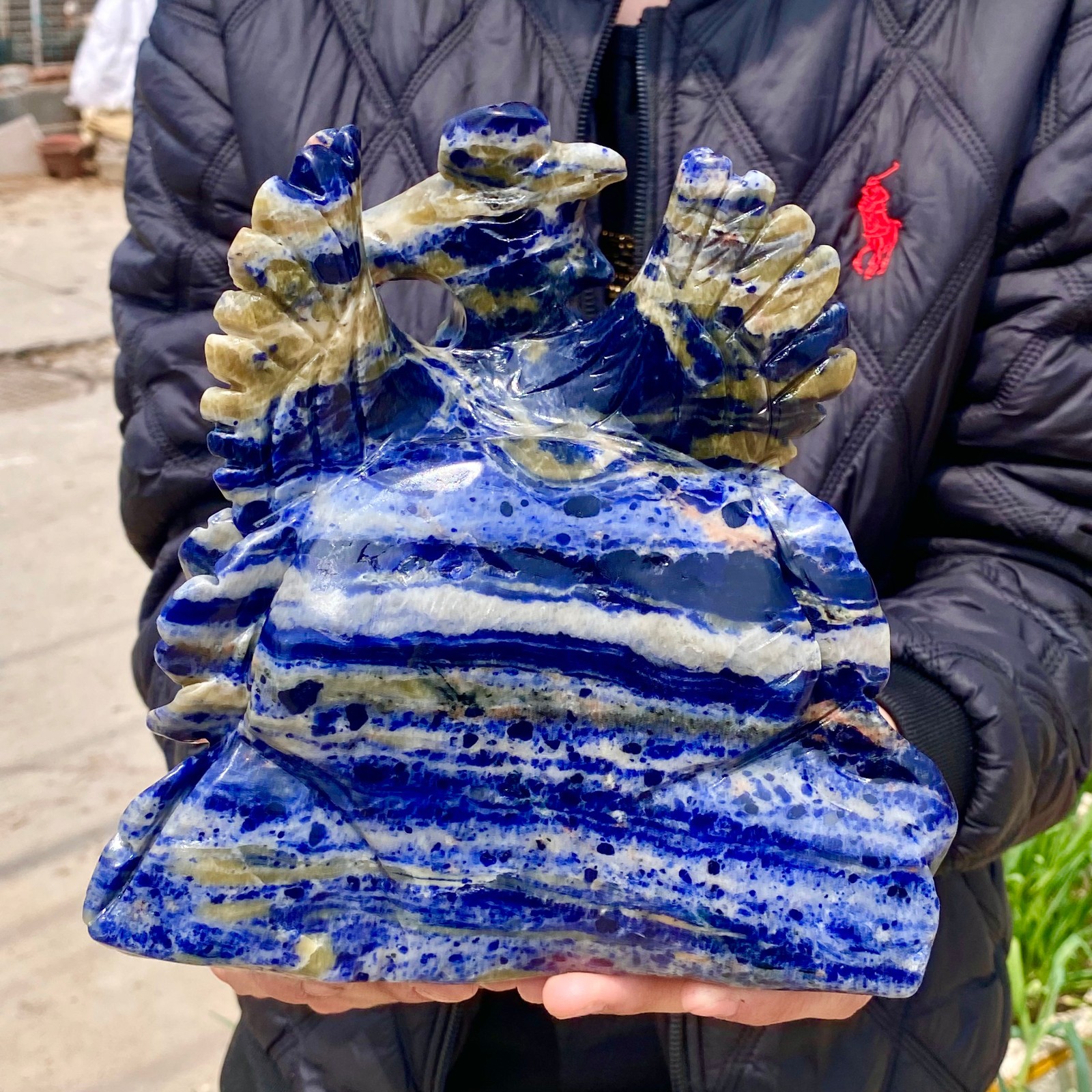 6.6LB Natural Blue Lace Agate Hand Carved Phoenix Figurine Gemstone Decor