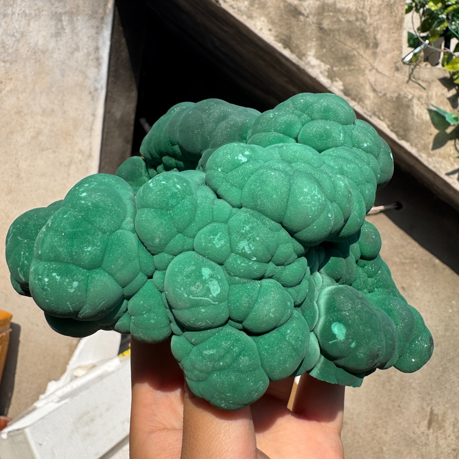 1180G Natural Malachite crystal quartz Mineral Specimen Reiki congo