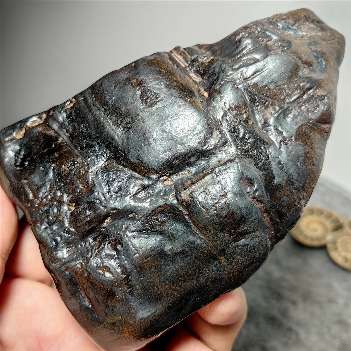539g Natural Genuine stony meteorite specimen from China 2