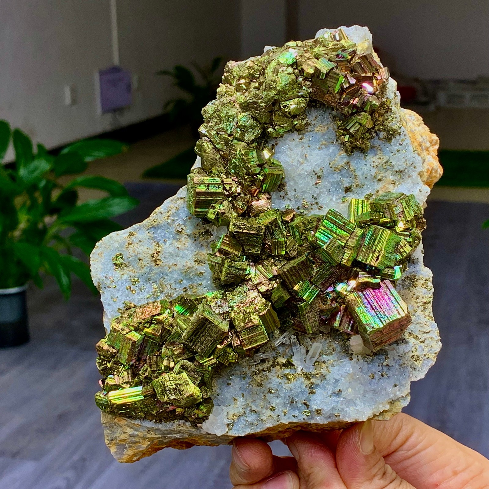 4.13LB Natural colorful chalcopyrite clear Cluster coexisting crystal miner
