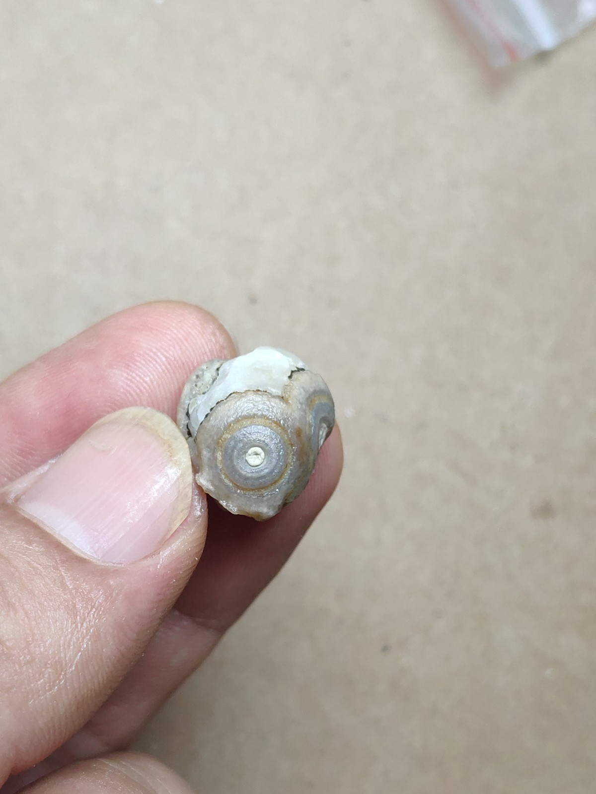 17mm Beautiful Natural agate Gobi agate eye agate cute collection