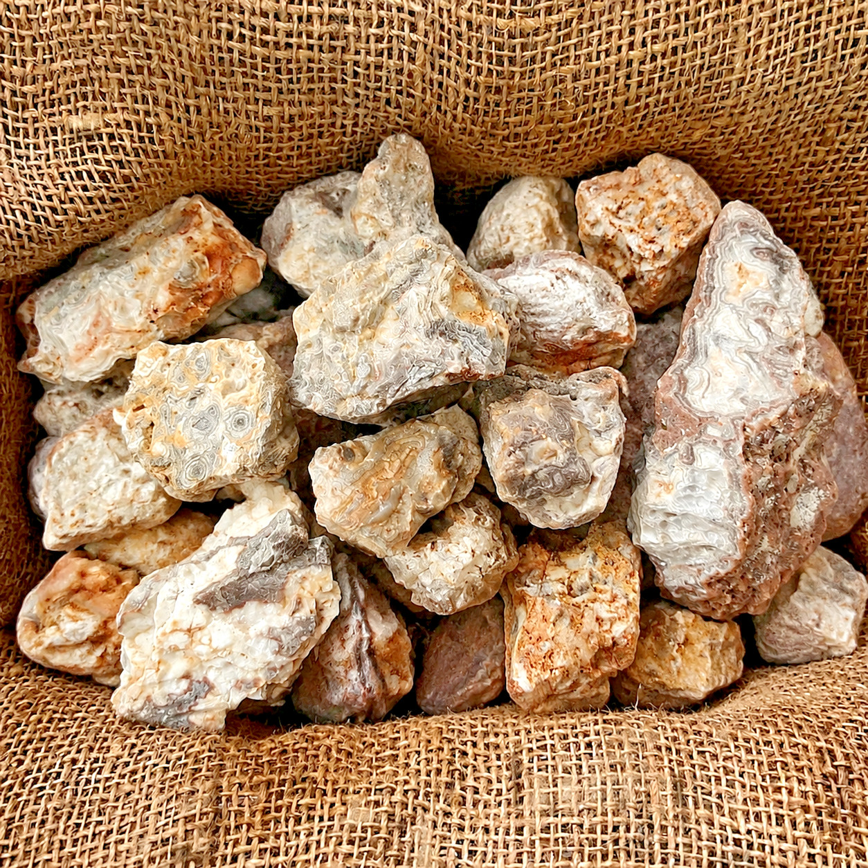 3Pcs Natural Mexican Crazy Lace Agate Rough Raw Stones Crystals Healing Specimen