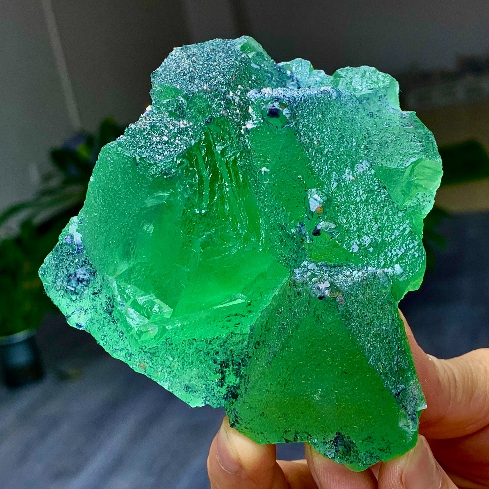 1.24LB Rare transparent green cubic Zhejiang fluorite mineral sample