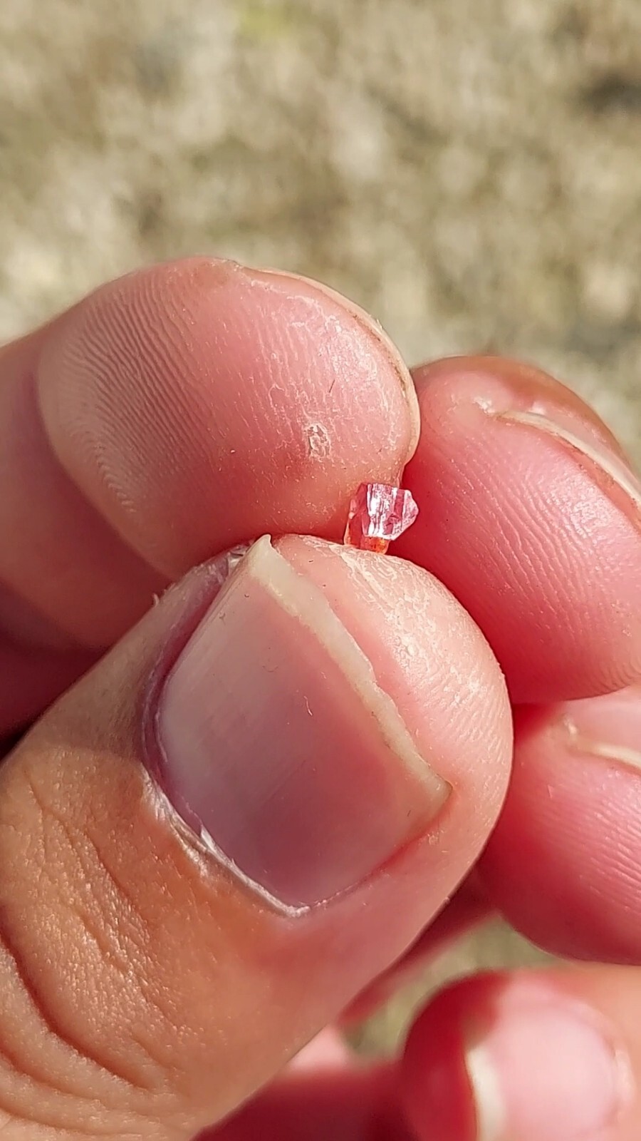 ULTRA GEM RHODOCHROSITE N’Chwaning II Mine, KMF, South Africa