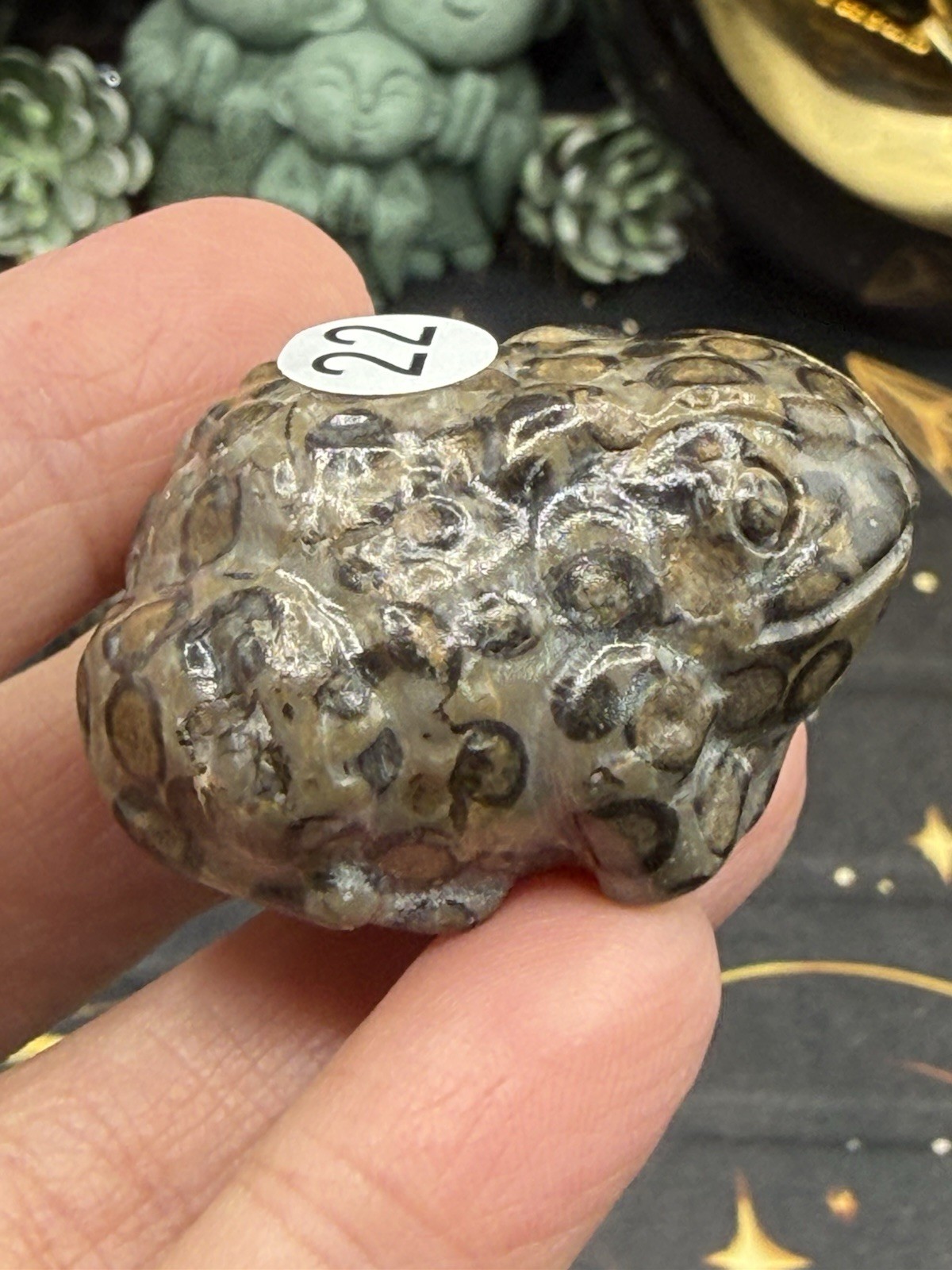 Natural Leopard Skin Japser Baby Toads O.M.G cute & Life like! Free shipping