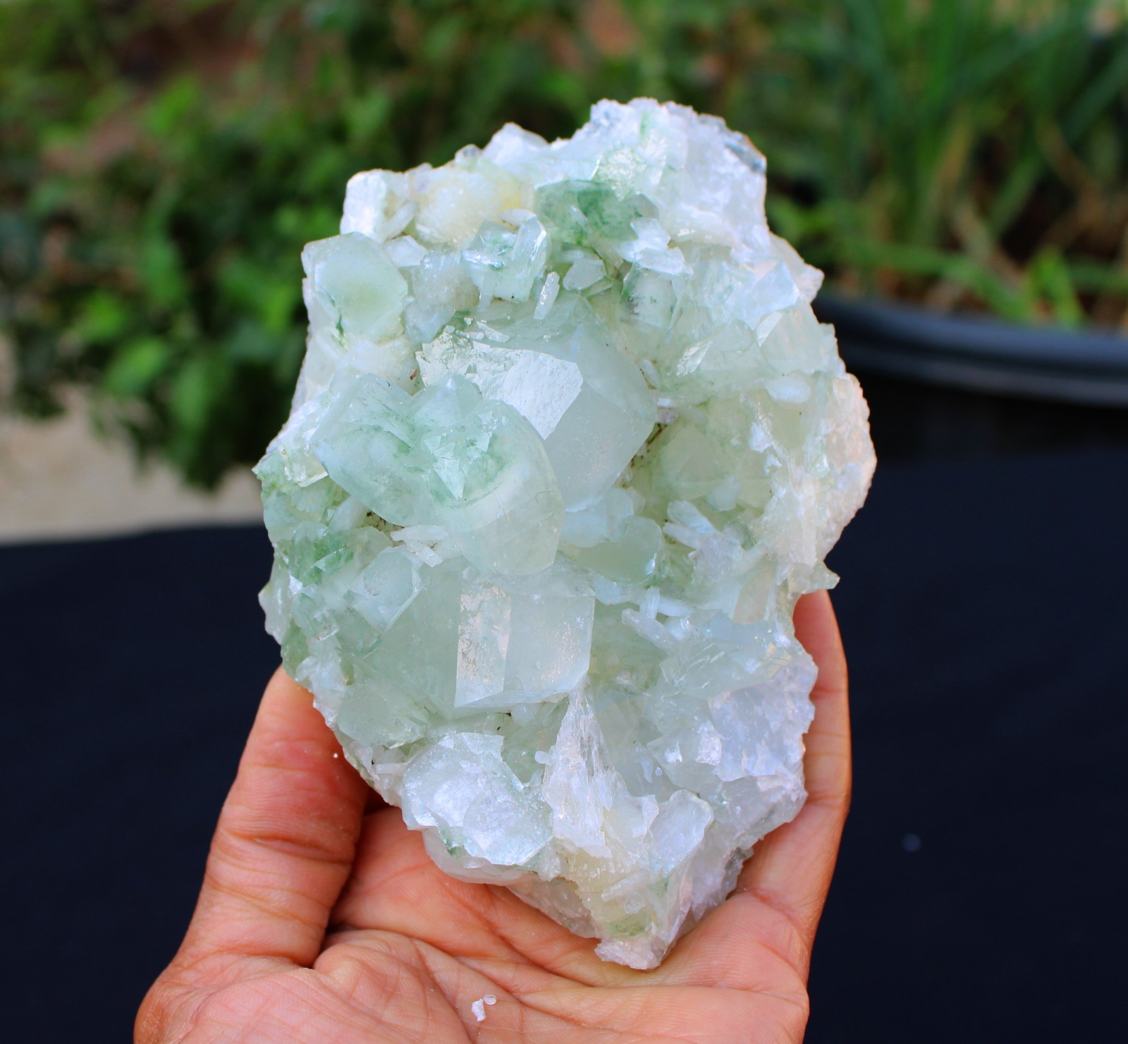 Green Apophyllite Crystals w/ Stilbite Formation Minerals Specimen
