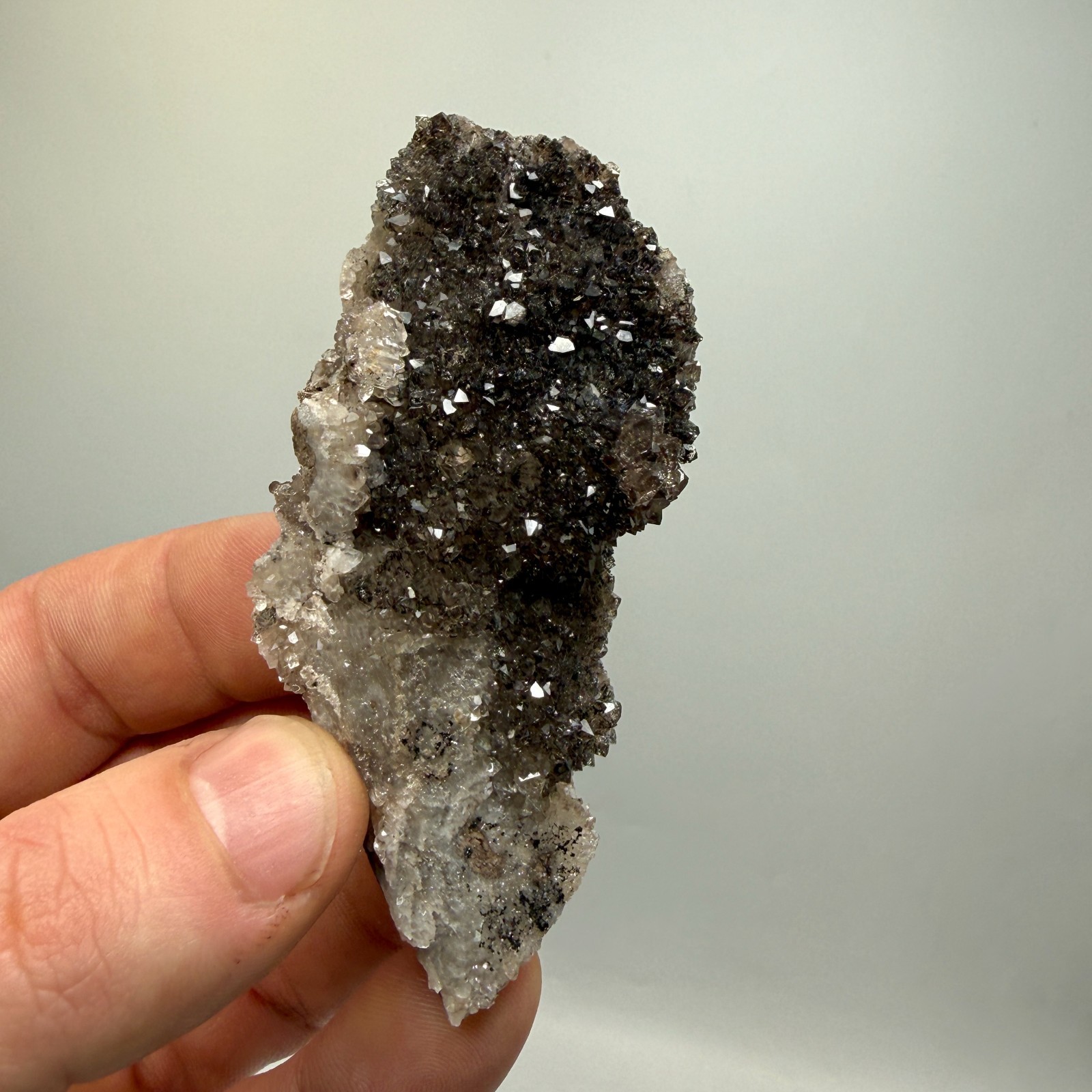 Black Druze with Hydrocarbon Phantom Percher Herkimer Diamonds, Rare Matrix!