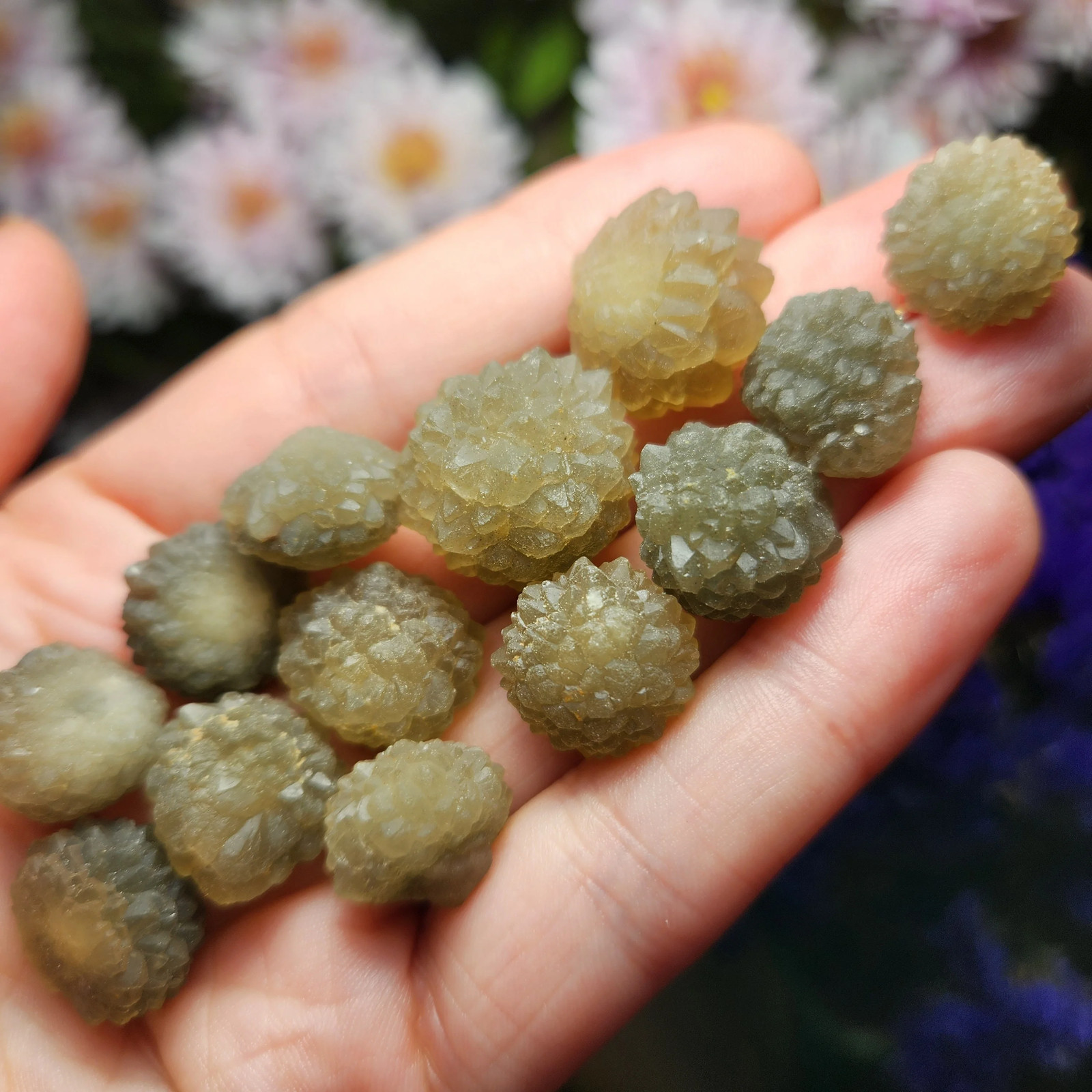 Star Chalcedony from Morocco, Unique Nodule Specimen
