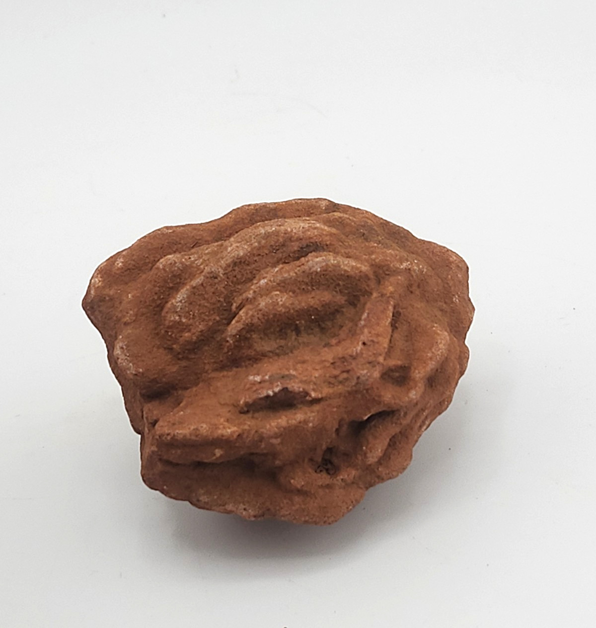 Oklahoma Rose Rock Cluster Barite Old Stock Highly Detailed 190 Grams