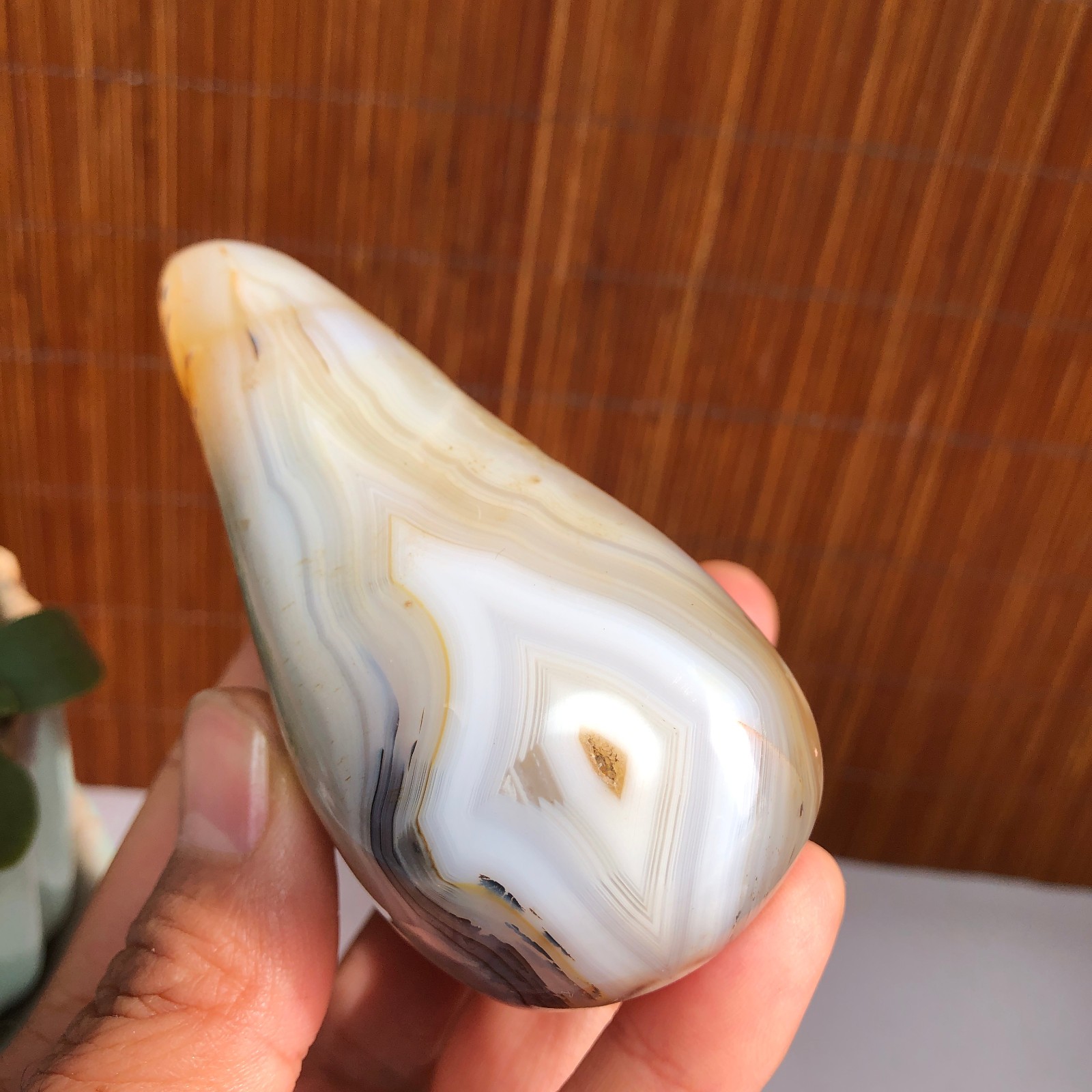 80mm Natural aquatic plants agate pretty Crystal specimens 235g A1485