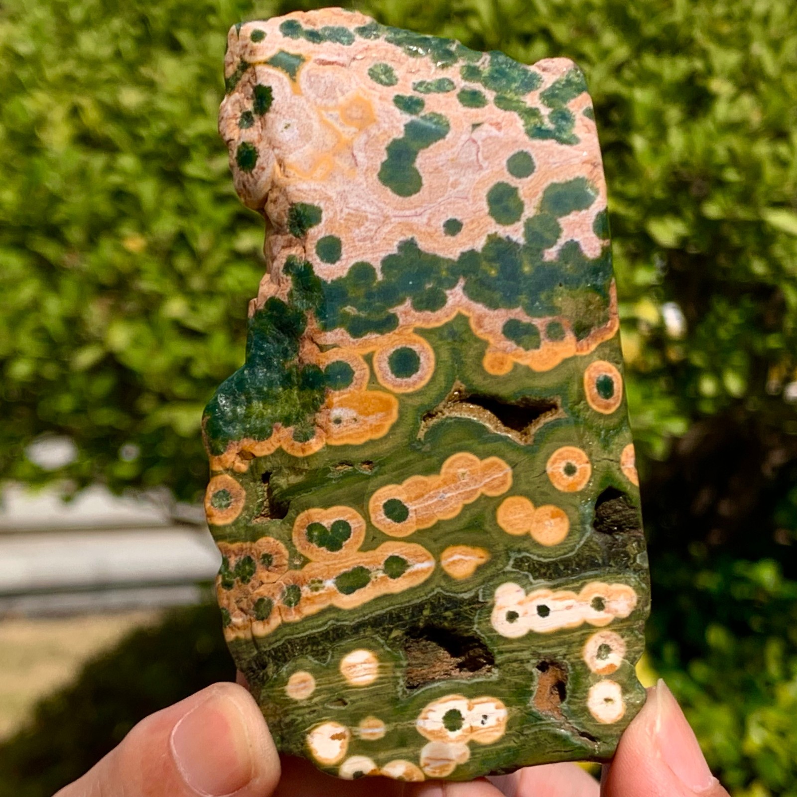 82G Natural Ocean Jasper Crystal SliceLarge Specimen Healing- Museum