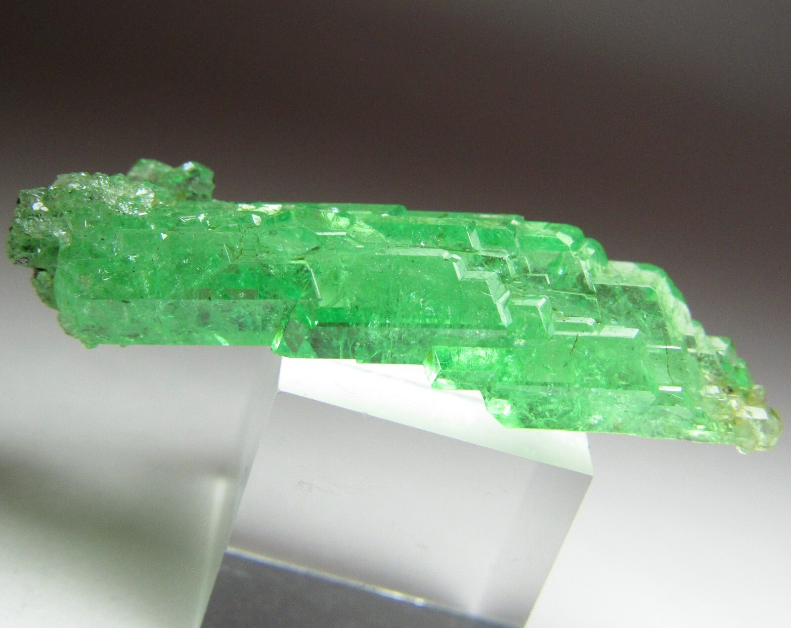 UNSURPASSED ELITE LIGHTNING BOLT TSAVORITE GROSSULAR GARNET CRYSTAL!!! TANZANIA
