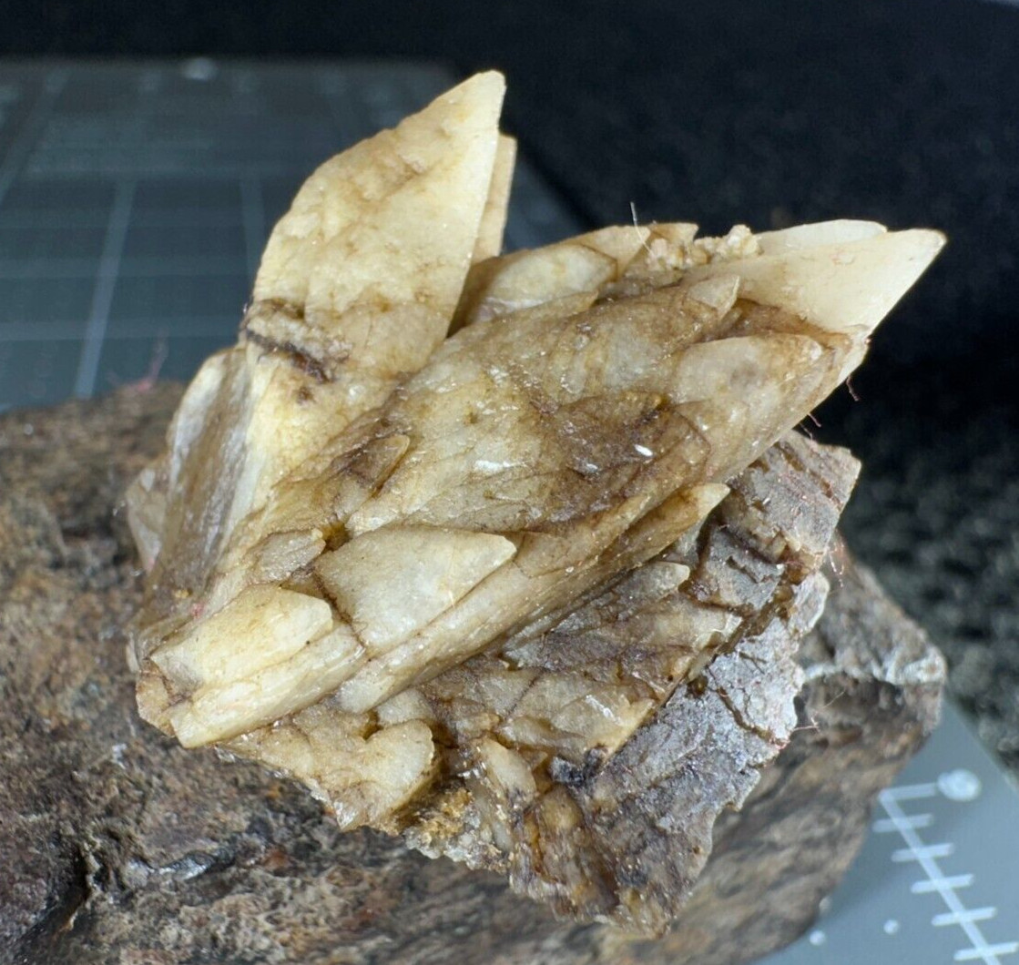 ➤ 1-3/8″ DOGTOOTH CALCITE CLUSTER Pleasant Ridge Rensselaer Indiana VIDEO➤430