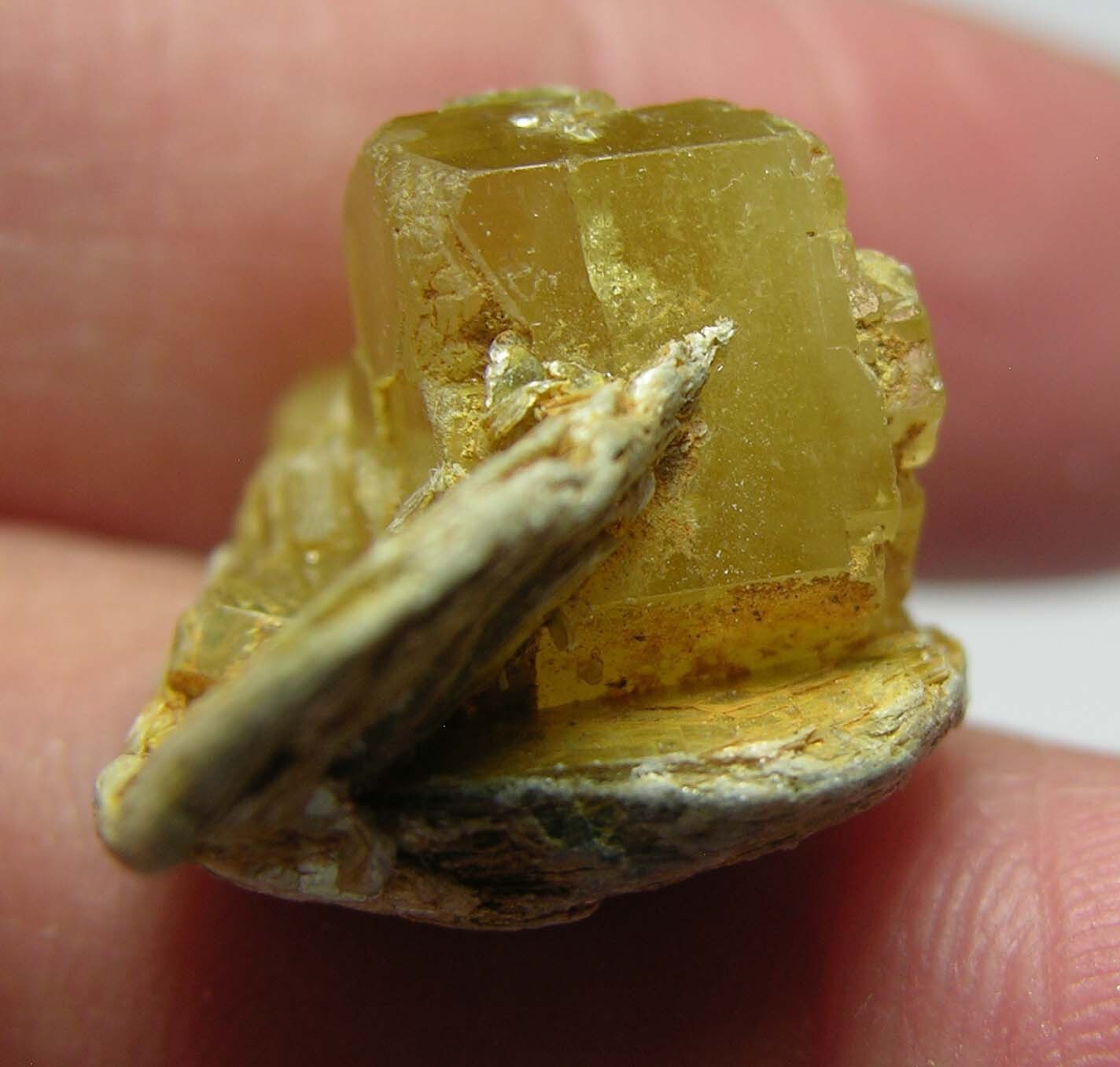 26.05ct Pakistan Terminated Heliodor Crystal in Mica Cluster Specimen 5.20g 28mm