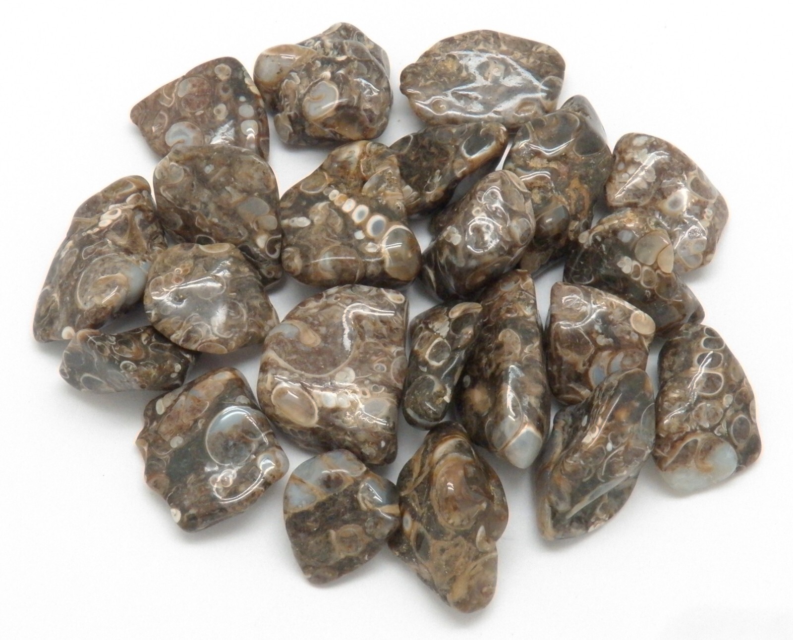 20 pc Tumbled Stones size medium Beautiful Crystal Rock