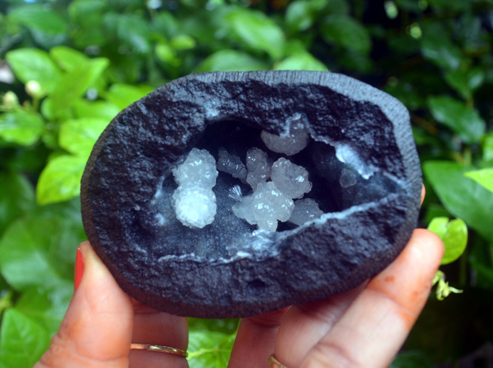 stellerite crystals w/ chalcedony matrix minerals specimen j-7