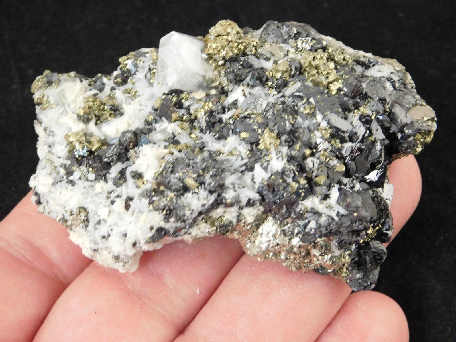 Sphalerite Crystal Cluster with Chalcopyrite Calcite and Pyrite 116gr