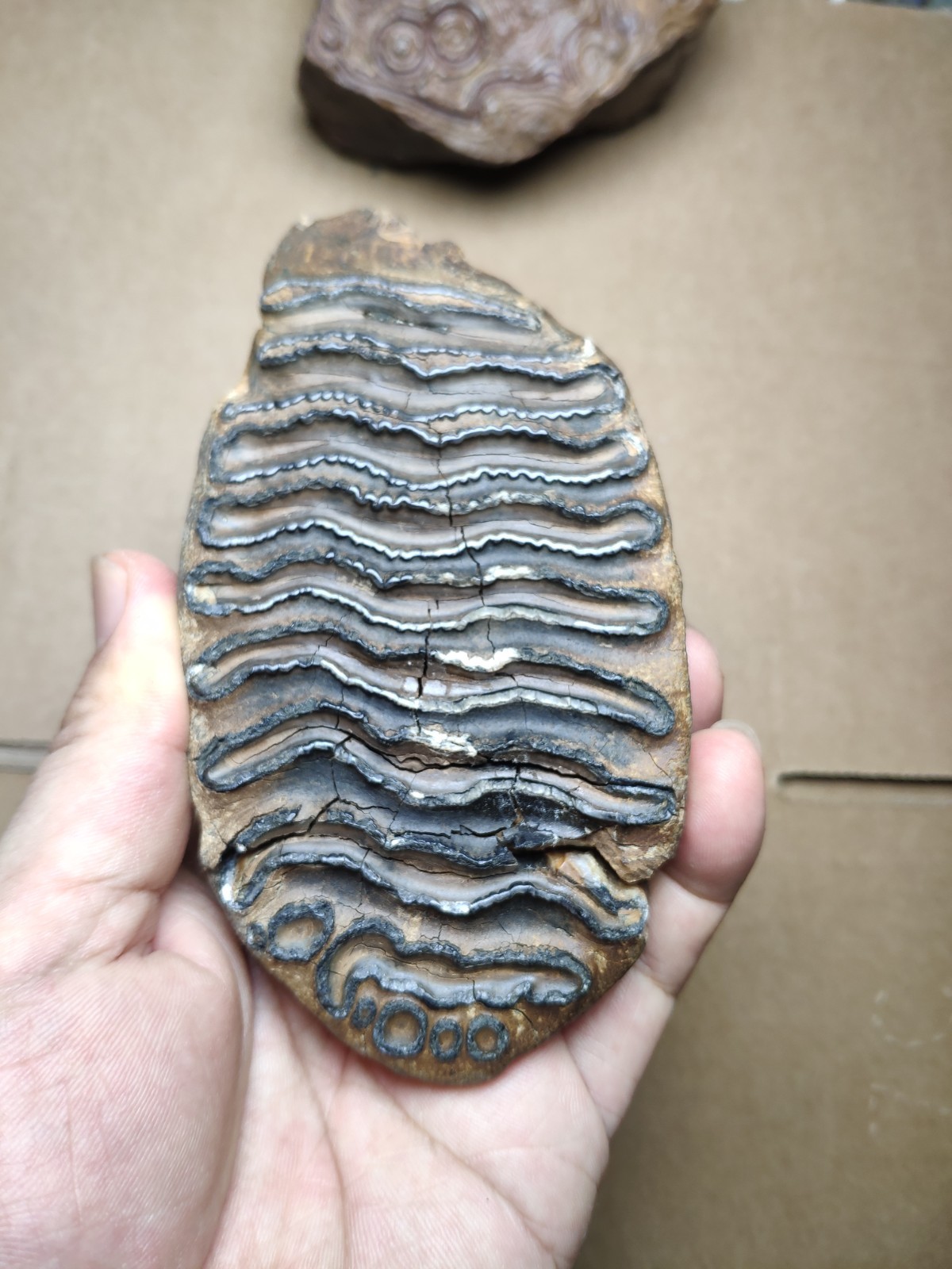 530g Beautiful Clear texture landscape stone