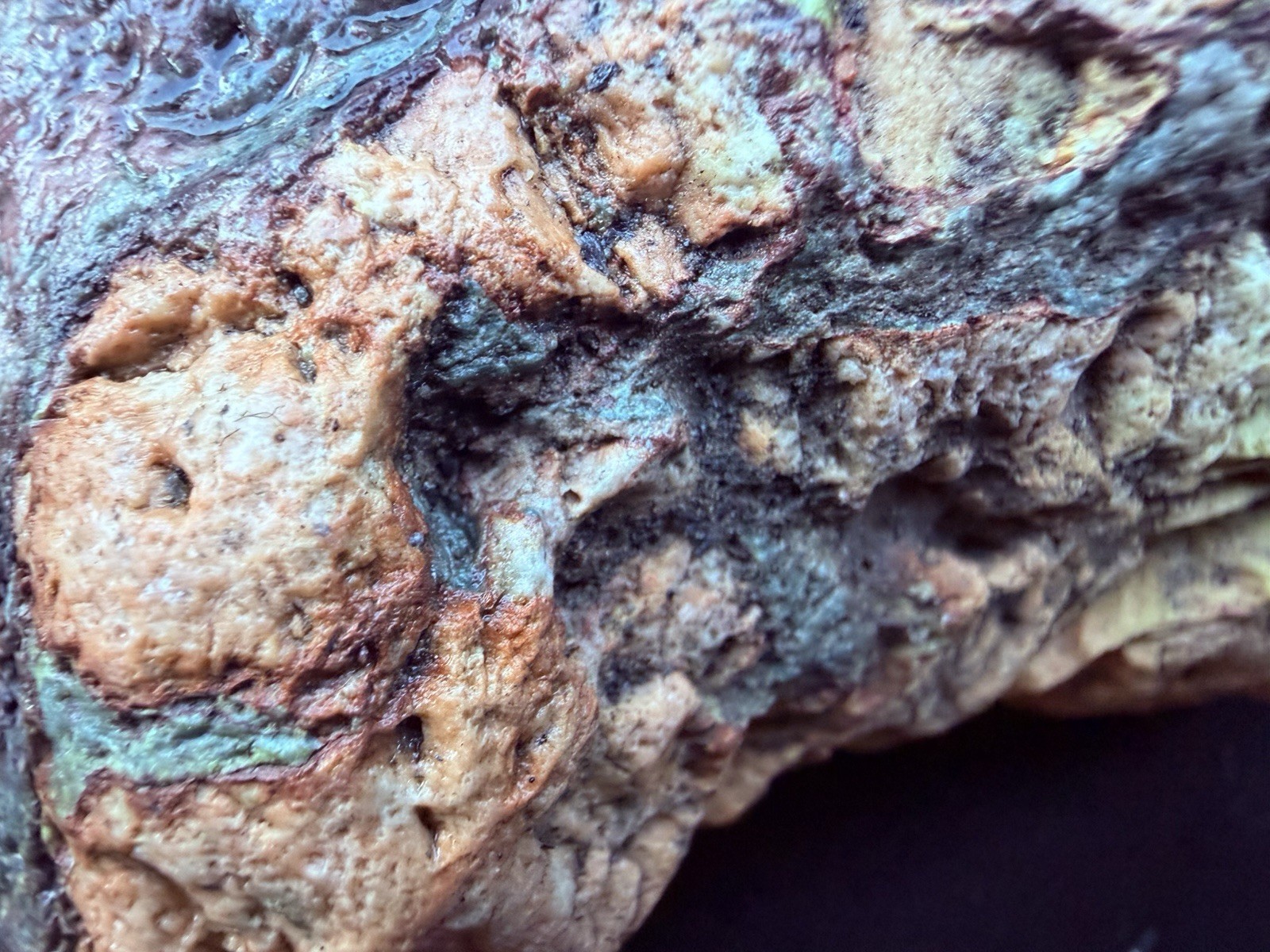 “The Alchemist” – Large Natural Multi-Color Jasper Display Stone | One-of-a-Kind