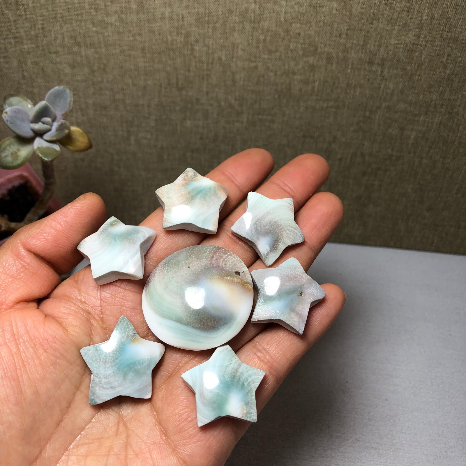 7pcs Rare sun shell Reiki Shiva Eye ocean semi-precious stone 57g A2762