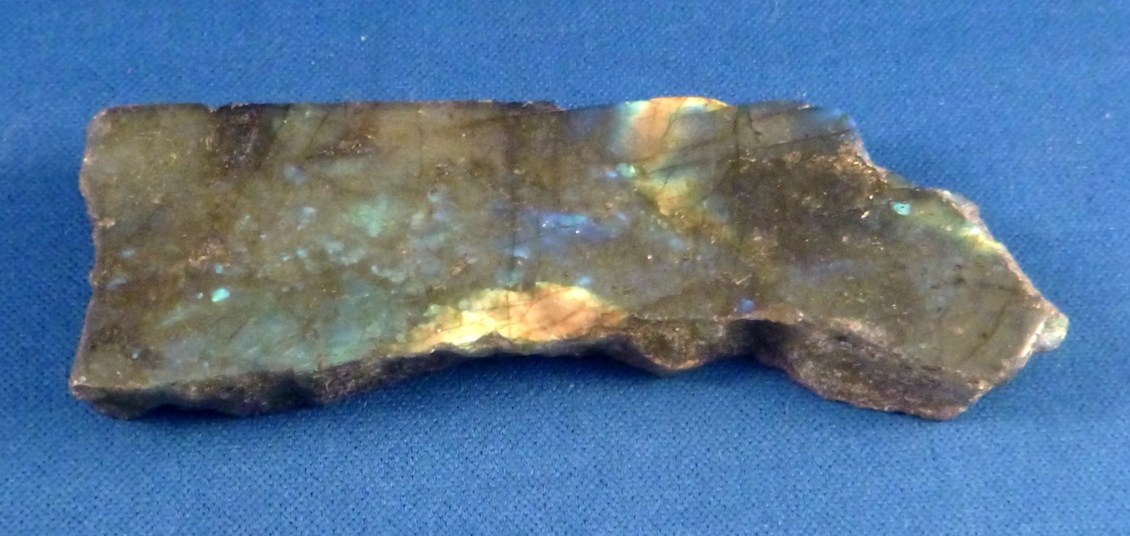 3.5″ Labradorite gemstone slab freeform slice Iridescent gray w blue highlights