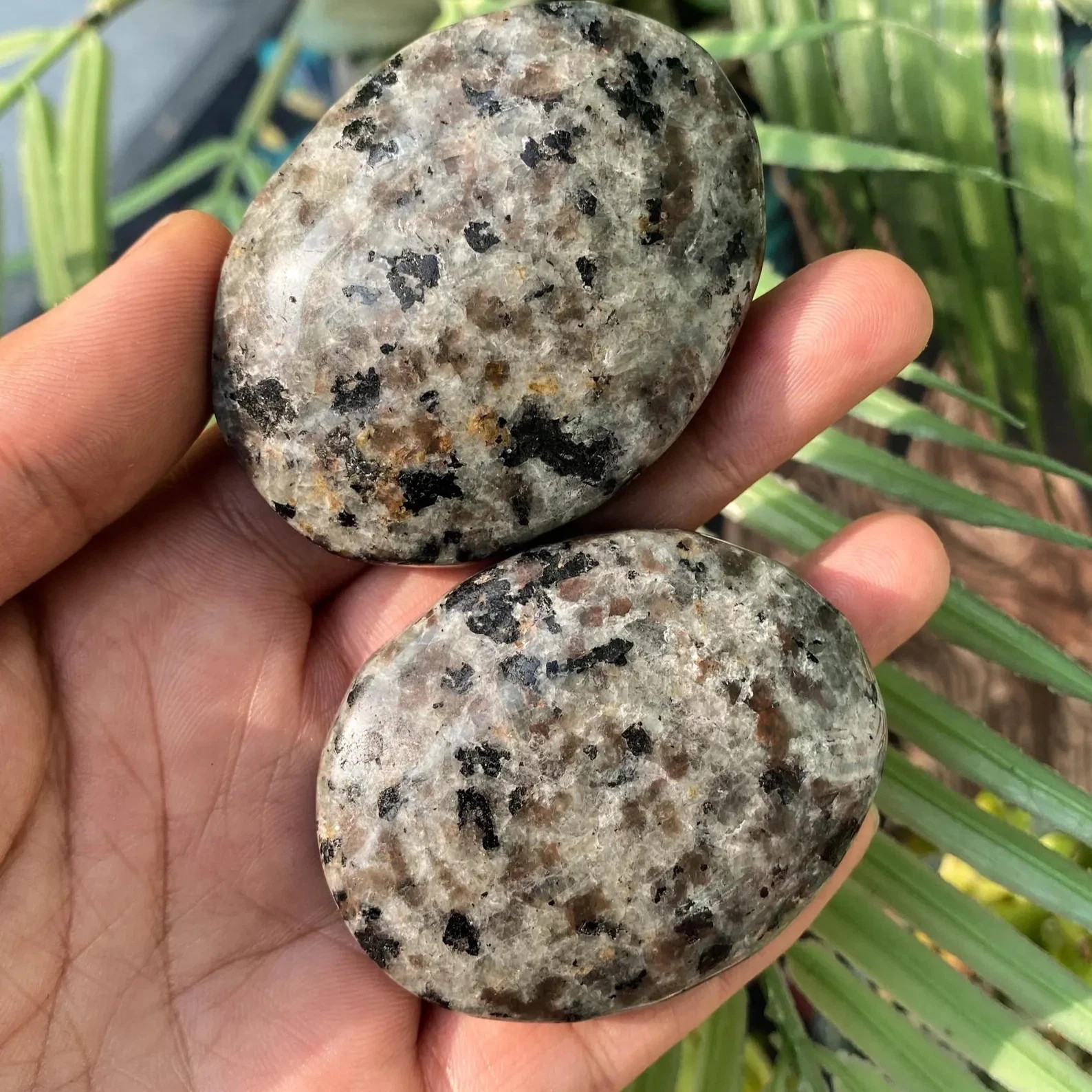 Genuine Yooperlite Palm Stone Tumbled Gem Crystal UV Reactive Healing Decor Gift