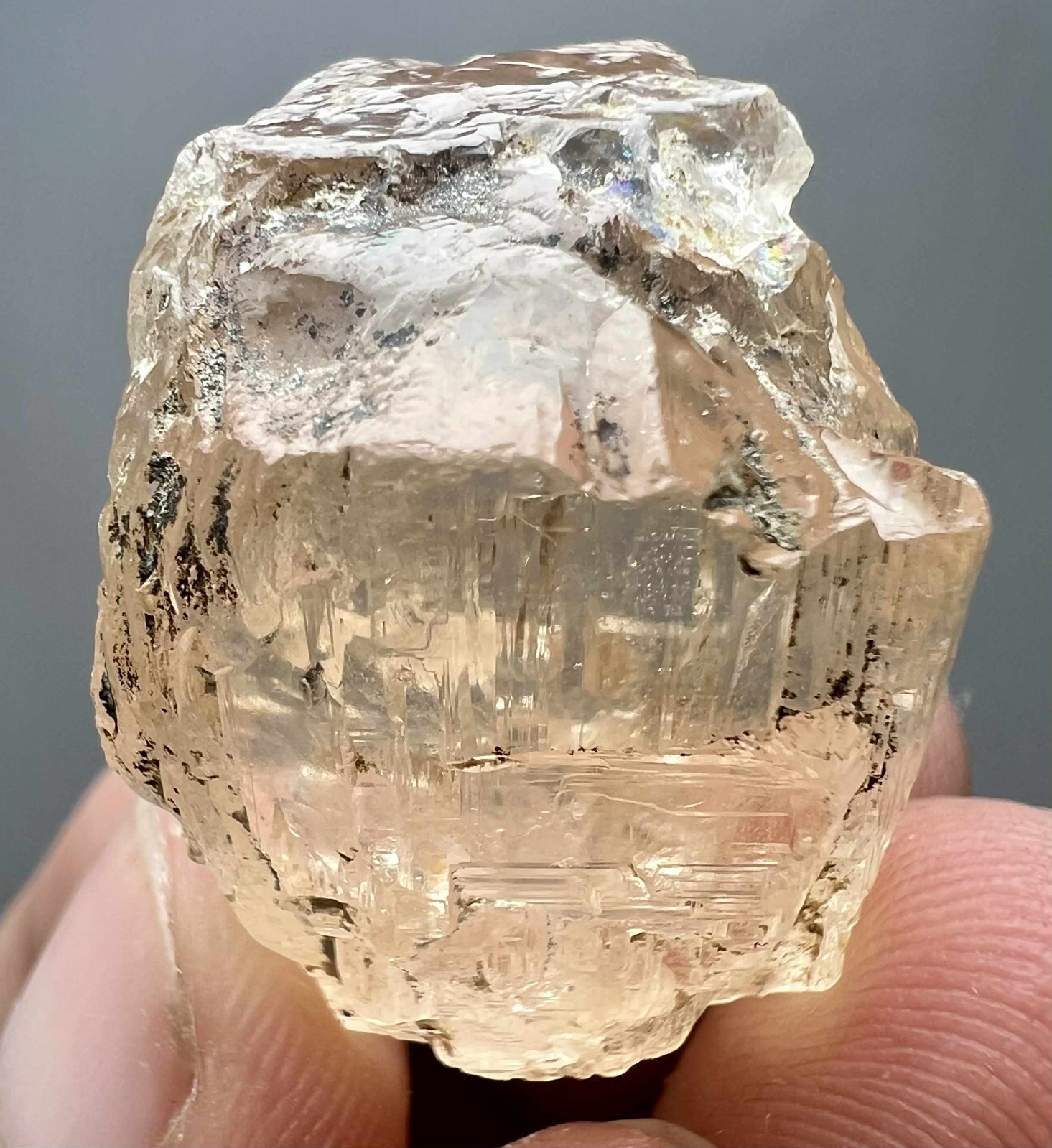 118 Carat Natural !!! Eye Clean Top Honey Color Topaz Huge Crystal @PAK