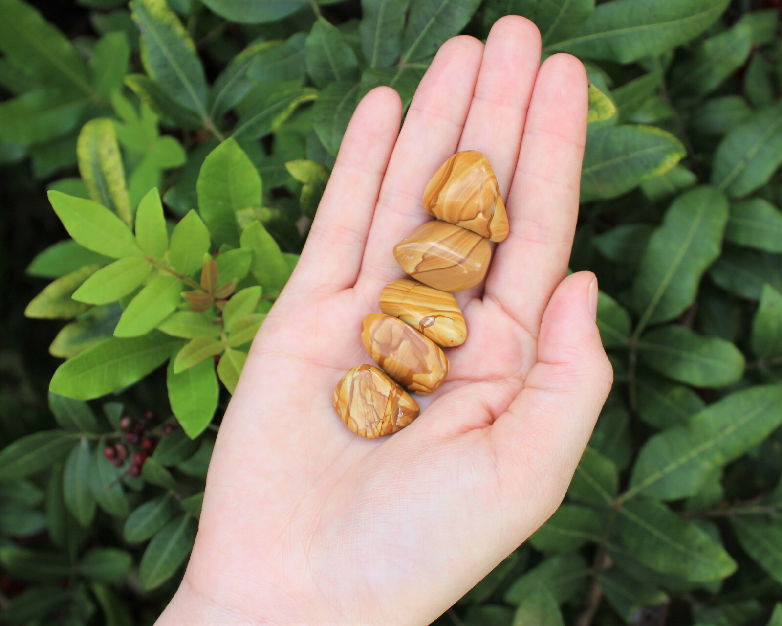 5 Walnut Jasper Tumbled Stones (Premium Quality ‘A’ Grade)