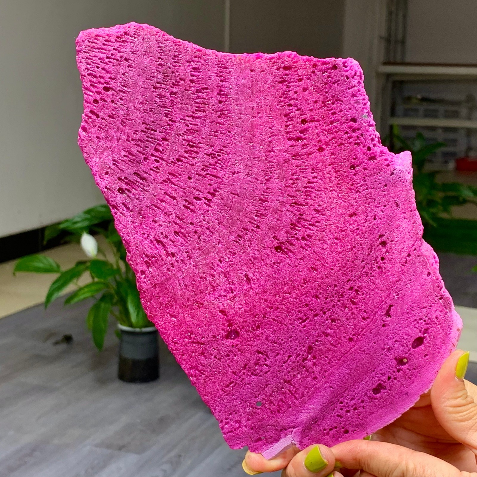 1.14LB Natural Rough Red Corundum Phlogo Pit Mineral Spirits Ruby Raw Gemstone