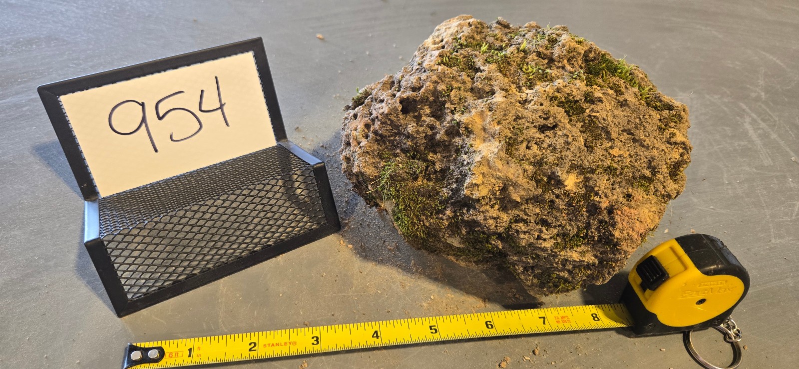 6″ Medium Pumice Stone Floating Natural Rock Carnivorous Succulent Garden #954