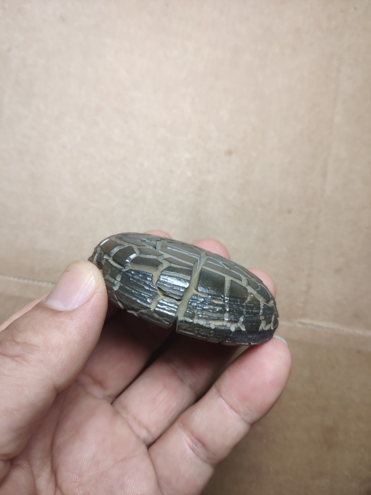 136g beautiful Natural tortoise back pattern stone Landscape stone