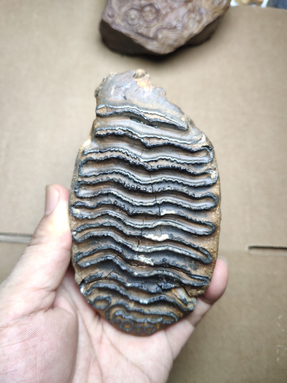 530g Beautiful Clear texture landscape stone