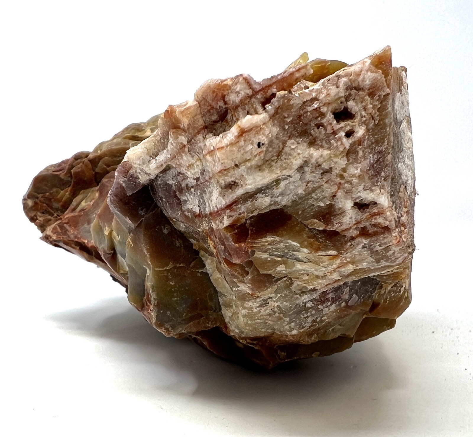 Loose Natural Stone – United States: Raw Petrified Wood RARE Agatized 4lb 4oz